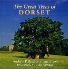 The Great Trees of Dorset