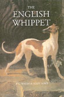 The English Whippet