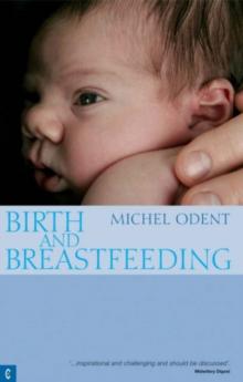 Birth and Breastfeeding : Rediscovering the Needs of Women During Pregnancy and Childbirth