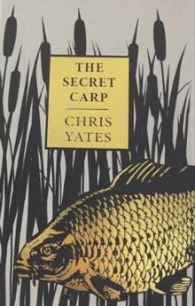 The Secret Carp