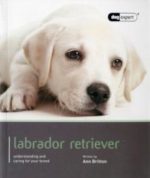 Labrador - Dog Expert