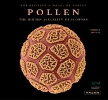 Pollen : The Hidden Sexuality of Flowers