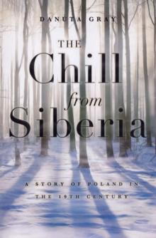 The Chill From Siberia : A story of 19th century Poland