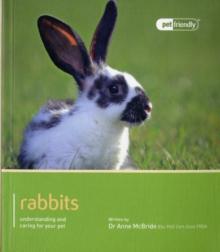 Rabbit - Pet Friendly