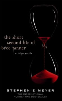 The Short Second Life Of Bree Tanner : An Eclipse Novella