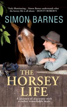 The Horsey Life : A Journey of Discovery with a Rather Remarkable Mare