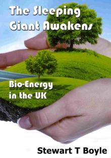 Sleeping Giant Awakens: Bio-energy in the UK