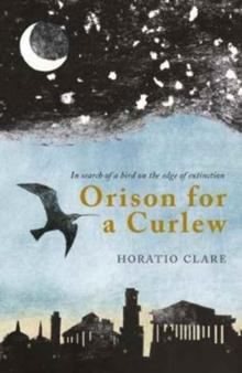 Orison for a Curlew : In Search of a Bird on the Edge of Extinction