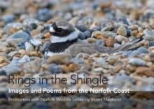 Rings in the Shingle : Images and Poems from the Norfolk Coast