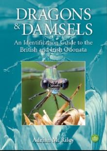 Dragons And Damsels : An Identification Guide To The British And Irish Odonata