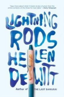 Lightning Rods : Shortlisted for the 2013 Bollinger Everyman Wodehouse Prize for comic fiction