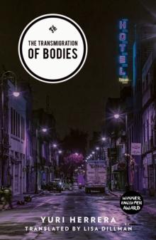 The Transmigration of Bodies : Shortlisted for the 2018 International Dublin Literary Award