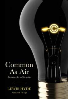 Common as Air : Revolution, Art and Ownership