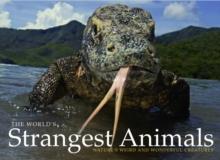 The World's Strangest Animals : Nature's Weird and Wonderful Creatures