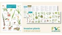 Guide to the non-native invasive plants of Britain and Ireland