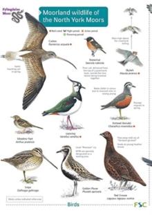 Moorland wildlife of the North York Moors