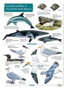 Coastal wildlife of the North York Moors