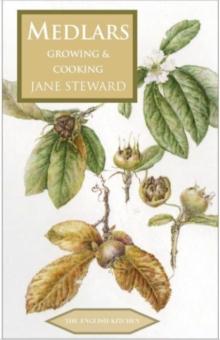 Medlars : Growing & Cooking