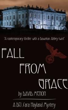 Fall From Grace : DCI Sara Hoyland Mysteries