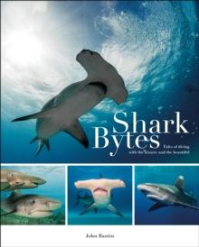 Shark Bytes