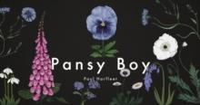 Pansy Boy