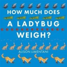 How Much Does a Ladybird Weigh?