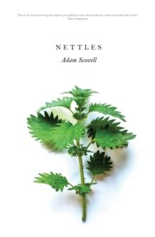 Nettles