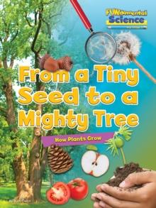 From a Tiny Seed to a Mighty Tree : How Plants Grow