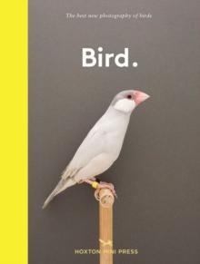 Bird. : The best new photography of birds