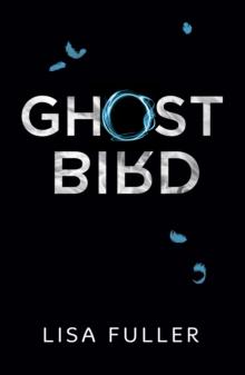 Ghost Bird