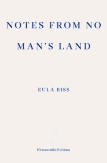 Notes from No Man's Land : American Essays