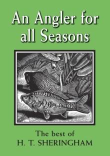 An Angler for all Seasons