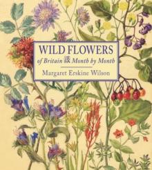 Wild Flowers of Britain : Month by Month