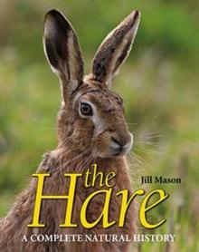 The Hare : A complete natural history