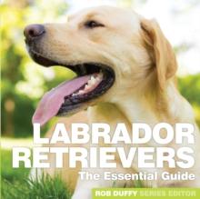 Labrador Retrievers : The Essential Guide