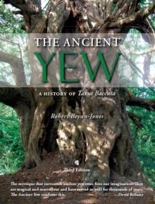 The Ancient Yew : A History of Taxus baccata