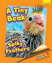 Whose Little Baby Are You? A Tiny Beak and Spiky Feathers