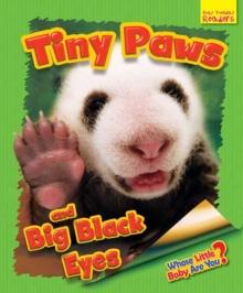 Whose Little Baby Are You? Tiny Paws and Big Black Eyes