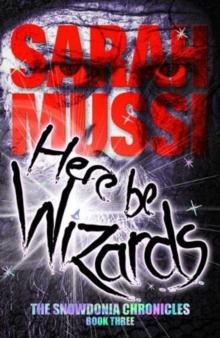 Here be Wizards : The Snowdonia Chronicles: book three