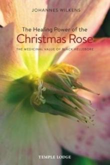 The Healing Power of the Christmas Rose : The Medicinal Value of Black Hellebore