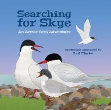 Searching For Skye : An Arctic Tern Adventure