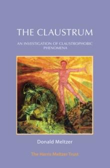 The Claustrum : An Investigation of Claustrophobic Phenomena