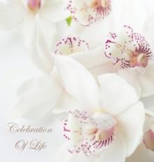 Celebration of Life, In Loving Memory Funeral Guest Book, Wake, Loss, Memorial Service, Love, Condolence Book, Funeral Home, Missing You, Church, Thoughts and In Memory Guest Book (Hardback)