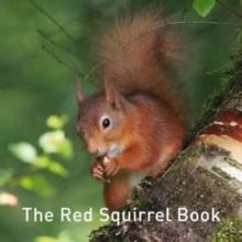 Nature Book Series, The: The Squirrel Book