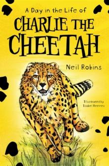 A Day in the Life of Charlie the Cheetah