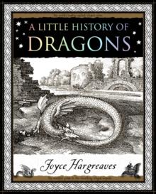 A Little History of Dragons