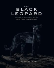 The Black Leopard : My Quest to Photograph One of Africa's Most Elusive Big Cats