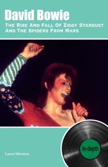 David Bowie The Rise And Fall Of Ziggy Stardust And The Spiders From Mars: In-depth