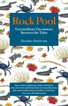 Rock Pool : Extraordinary Encounters Between the Tides