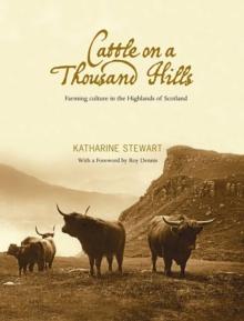 Cattle on a Thousand Hills